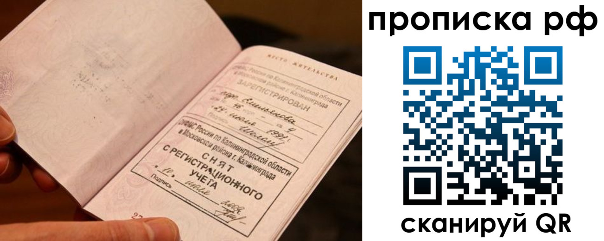 прописка гарантия в Касимове